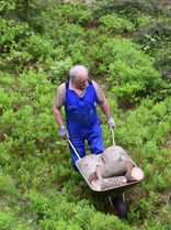 Tikkasen Paulin kuljetusyritys