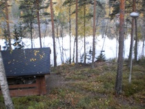 Sunnuntai valkeni usvaisena ja peilityynenä